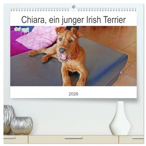 Chiara, ein junger Irish Terrier (hochwertiger Premium Wandkalender 2026 DIN A2 quer), Kunstdruck in Hochglanz: Fotos haben die ersten Monate eines jungen Hundes festgehalten (CALVENDO Tiere)