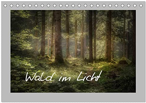 Wald im Licht (Tischkalender 2026 DIN A5 quer), CALVENDO Monatskalender: Leuchtende Wälder im Jahreskreis (CALVENDO Natur)