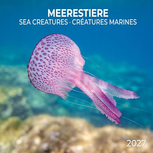 Meerestiere / Sea Creatures 2027: Kalender 2027 (Artwork Edition)