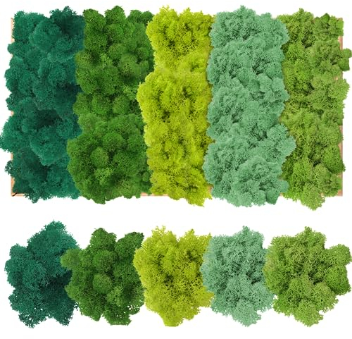 Muschio stabilizzato islandese,decorazione per il fai da te,con 200g,cinque colori misti,muschio di renne artificiale,per parete, presepe, decorazioni o modellismo I muschio verde chiaro e scuro