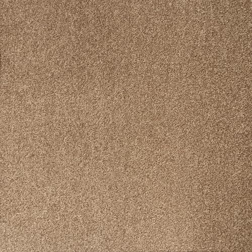 Underfoot Durable Twist Pile Carpet | Action-Backed Carpet | Bleach-Cleanable & Stain-Resistant | Elegant Carpets Colours (Beige, 5m x 2m)