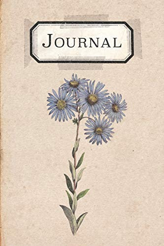 Journal: Vintage Flower Floral Bullet Dotted Notebook