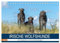 Irische Wolfshunde (Tischkalender 2025 DIN A5 quer), CALVENDO Monatskalender