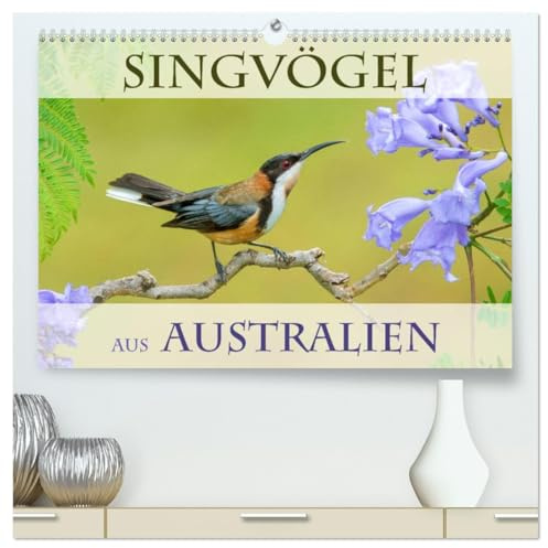 Singvögel aus Australien (hochwertiger Premium Wandkalender 2026 DIN A2 quer), Kunstdruck in Hochglanz: Die kunterbunte Vogelwelt Australiens (CALVENDO Tiere)