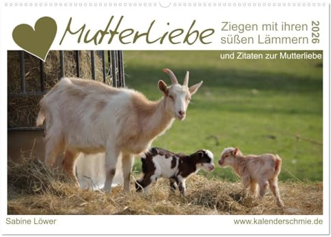Mutterliebe - Ziegen mit ihren süßen Lämmern (Wandkalender 2026 DIN A2 quer), CALVENDO Monatskalender: Ziegenmütter, Zicklein und Zitate (CALVENDO Tiere)