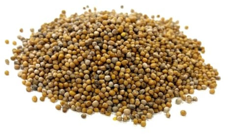 Agricultural Mustard Seed 1kg Green Manure