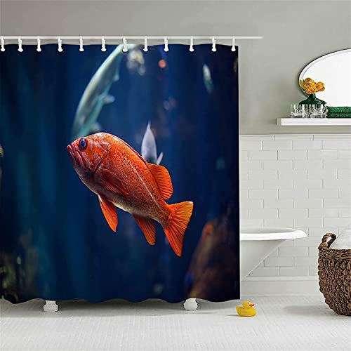 REBELA 3D Rideau de Douche Poisson Rouge Rideaux de Douche Poisson Rouge Imperméable Anti Moisissure Rideau Salle de Bain pour Baignoire Rideau Douche 180 x 180 cm, 12 Crochets