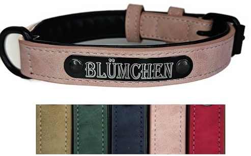 Jacks O Be Hundehalsband Halsband Name Gravur personalisiert Haustier Hund Katze Leder (Rosa, S)