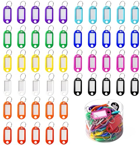50 Pièces Porte Clés en Plastique, Etiquette Porte Clef étiquettes en PVC avec Anneaux Plastique Porte Clés Inscriptibles Pour Bagage, Animaux de Compagnie, Clés USB, 10 Couleurs