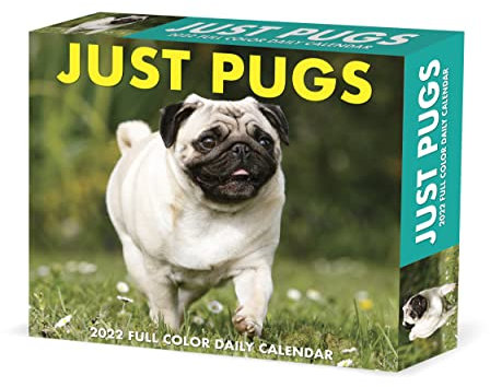 Pugs 2022 Box Calendar - Dog Breed Daily Desktop