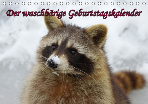Waschbären/Geburtstagskalender (Tischkalender immerwährend DIN A5 quer)