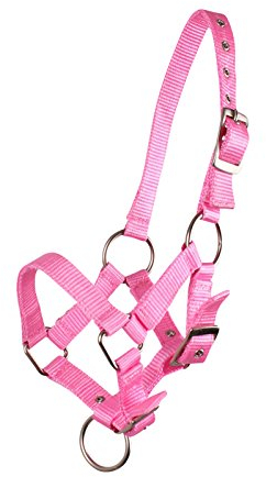QHP Fohlenhalfter Halfter Fohlen Nylonhalfter 4 Fohlengrößen 6 Farben (Pony Fohlen, rosa)