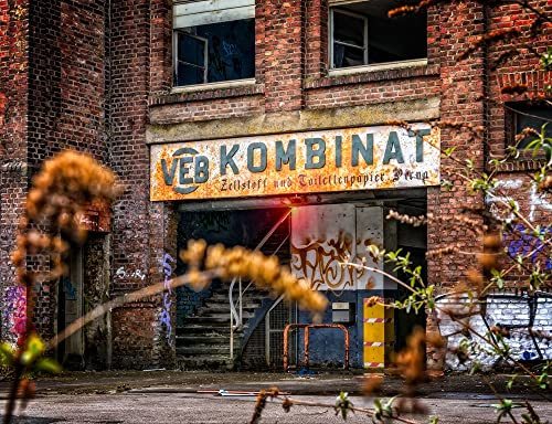 hansepuzzle 50795 - Lost Places Puzzle 1000 Teile - Industrie-Puzzle mit hochwertiger Aufbewahrung: Kartonbox und wiederverschließbarem Beutel - Format 60 × 46 cm