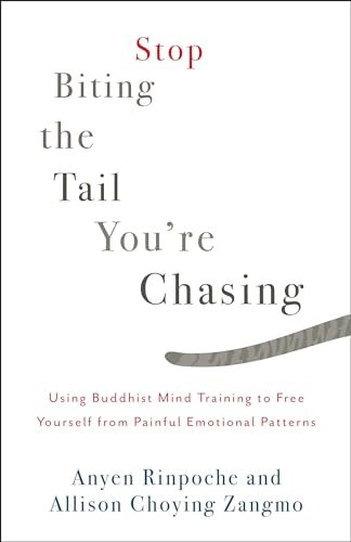 Stop Biting The Tail You're Chasing: Using Buddhist Mind Training to Free Yourself from Painful Emotional Patterns