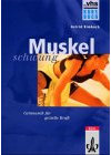 Muskelschwung, Kursbuch