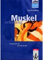 Muskelschwung, Kursbuch