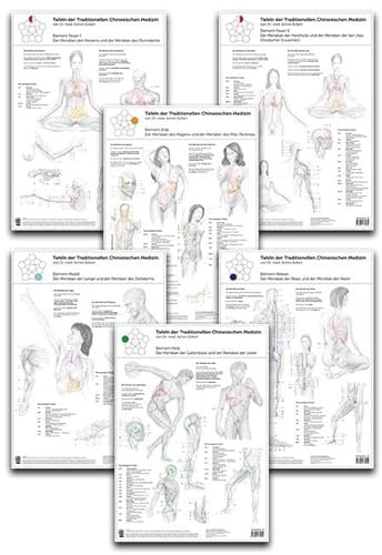 Set von 6 Tafeln der Traditionellen Chinesischen Medizin