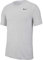 Nike Mens Short Sleeve T-Shirt Dri-Fit, Birch Heather/Black, AR6029-051, L