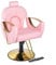 OSmari Hairdressing Chair,Height Adjustable, Men and Women,Hairdressing Equipment, Operating Chair,Vintage Retro,Elegant Hair Stylist Chair for Salon Professionals,Rosa