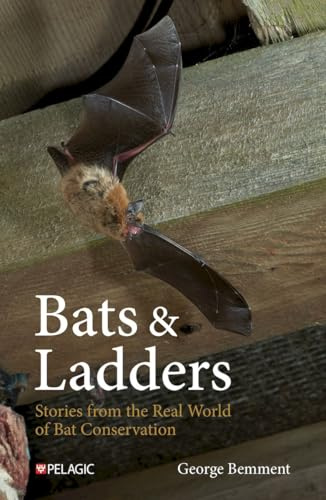 Bats & Ladders: Stories from the Real World of Bat Conservation (Bat Biology and Conservation)