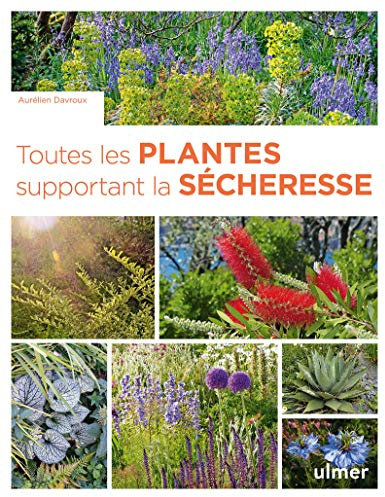 Toutes les plantes supportant la sécheresse