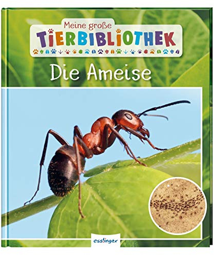 Meine große Tierbibliothek: Die Ameise: Sachbuch für Vorschule & Grundschule