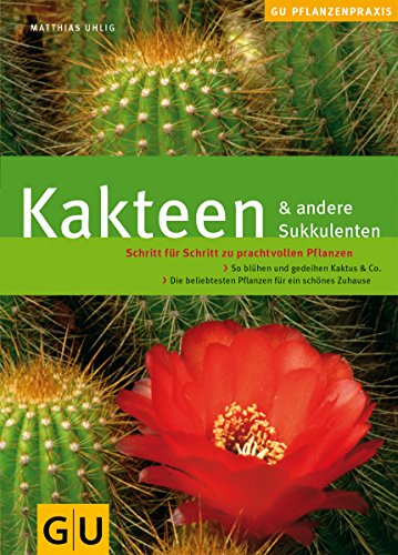 Kakteen & andere Sukkulenten: Schritt für Schritt zu prachtvollen Pflanzen. So blühen und gedeihen Kaktus & Co. (GU Praxisratgeber Garten)