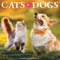 Cats & Dogs 2024 Calendar