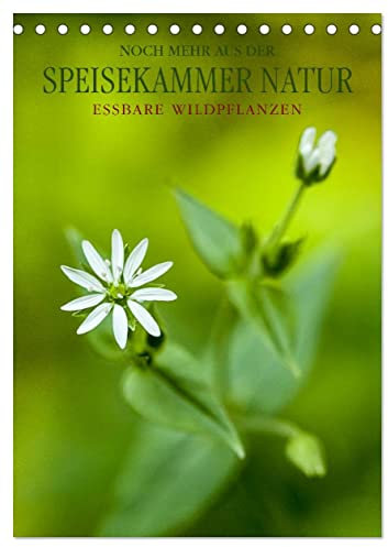 NOCH MEHR AUS DER SPEISEKAMMER NATUR (Tischkalender 2025 DIN A5 hoch), CALVENDO Monatskalender: Essbare Wildpflanzen: faszinierend, gesundheitsfördernd und artenreich. (CALVENDO Lifestyle)