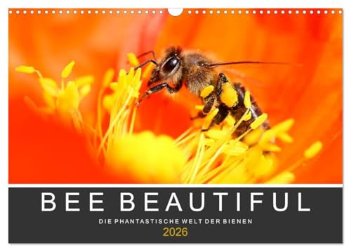 Bee Beautiful - Die phantastische Welt der Bienen (Wandkalender 2026 DIN A3 quer), CALVENDO Monatskalender: Brillante Nahaufnahmen von Bienen im heimischen Garten (CALVENDO Tiere)