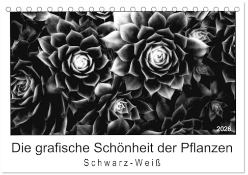 Die grafische Schönheit der Pflanzen – Schwarz-Weiß (Tischkalender 2026 DIN A5 quer), CALVENDO Monatskalender: 13 eindrucksvolle Naturaufnahmen in Schwarzweiß (CALVENDO Orte)