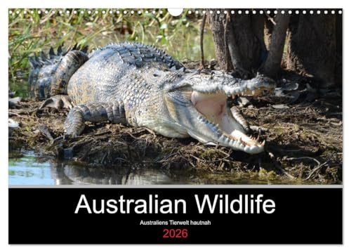 Australian Wildlife (Wandkalender 2026 DIN A3 quer), CALVENDO Monatskalender: Australiens Tierwelt hautnah erleben. (CALVENDO Tiere)