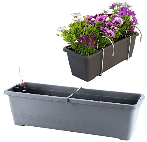 Plastia Blumenkasten Bergamot Balkonkasten 60 cm anthrazit