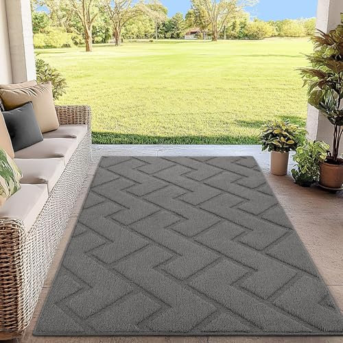 Biscpro Fußmatte Schmutzfangmatte 90x150cm Innen und Außen, Waschbar Fussmatte, Wasserdicht Türmatte, Rutschfester Schmutzfänger Teppich für Eingang, Haustür, Patio, Flur, Garten