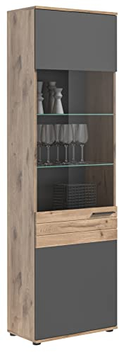 xonox.home X12B8T10 Mason Vitrine Holzwerkstoff Glas Grau, Glasvitrine, Vitrinenschrank 57 x 200 x 37