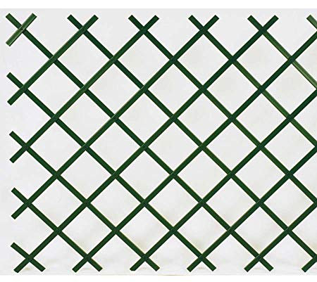 Verdemax 7550 Treillis Extensible en PVC 2 x 1 m – Vert