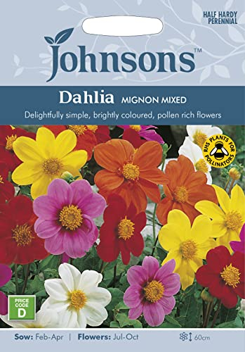 Johnsons 10067 Flower Seeds, Dahlia Mignon Mixed