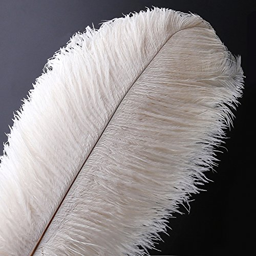 VoilaLove 10 stücke Natürliche Straußenfedern Handwerk 16-18 Zoll (40-45 cm) Plume für Hochzeit Mittelstücke Dekoration (40-45 cm,Weiß)