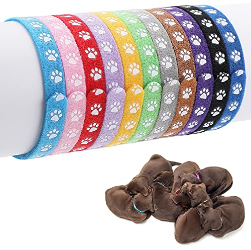 Molain 12 Stück Welpenhalsbänder, Wurfhalsbänder für kleine Welpen, verstellbare ID-Halsbänder für kleine Katzen Hunde, Welpen-Identifikationshalsbänder, Neugeborenenhalsbänder für Kätzchen (30cm)