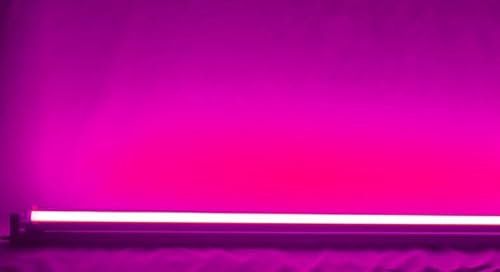 Tube LED TL Violet - 9 Watt - 60 cm - Type de luminaire : ballast électronique (+ et - connexion d'un côté du luminaire)