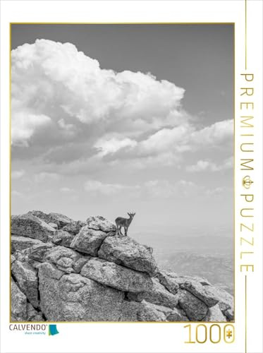 CALVENDO Puzzle EIN Motiv aus dem Kalender Wilde Bergwelt in Europa | 1000 Teile Lege-Größe 48 x 64 cm Foto-Puzzle für glückliche Stunden