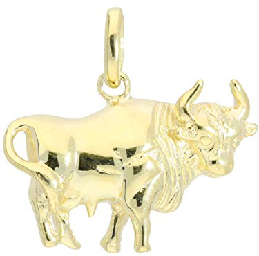 My Gold Damen Herren Kinder Sternzeichen Anhänger Stier Gold 333 (Ohne Kette) Echtes Gelbgold (8 Karat) Massiv 18mm x 18mm Zodiac Basic A-05976-G301-Sti