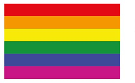 Premium Aufkleber Regenbogen Gay Pride Rainbow Flag Sticker LGBT Movement Waschstrassenfest und UV-Beständig