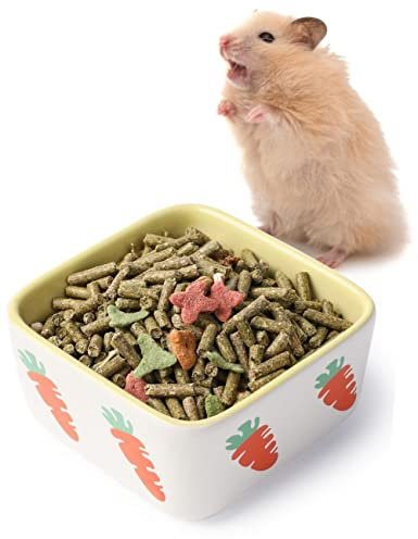 JanYoo Kaninchen Zubehoer Futternapf Keramik Meerschweinchen Trockenfutter Wasser Duo Napf Igel Hamster Sachen klein Gelb