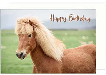 Edition Seidel Premium Geburtstagskarte mit Umschlag. Glückwunschkarte Grusskarte Billet Happy Birthday Mann Frau Kind Geburtstag Pferd Tierkarte Karte (G3157 SW023)