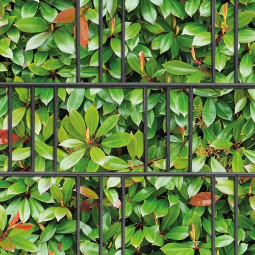 M-tec print® Sichtschutzstreifen bedruckt | Motiv: Glanzmispel Hecke | 3er Pack | Premiumqualität für Doppelstabmattenzaun