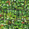 M-tec print® Sichtschutzstreifen bedruckt | Motiv: Glanzmispel Hecke | 3er Pack | Premiumqualität für Doppelstabmattenzaun