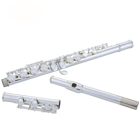 Querflöten Flöte E-Klappe 16 geschlossene Löcher für Anfänger