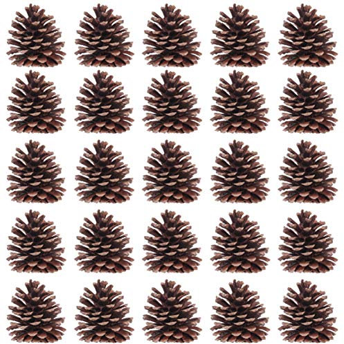STOBOK 50 Pieces Large Natural Pine Cones 2.4-3.1 Inch Christmas Pinecone Xmas New Year Holiday Party Decoration Ornament for Xmas Tree Decorations Home Supplies