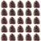 STOBOK 50 Pieces Large Natural Pine Cones 2.4-3.1 Inch Christmas Pinecone Xmas New Year Holiday Party Decoration Ornament for Xmas Tree Decorations Home Supplies